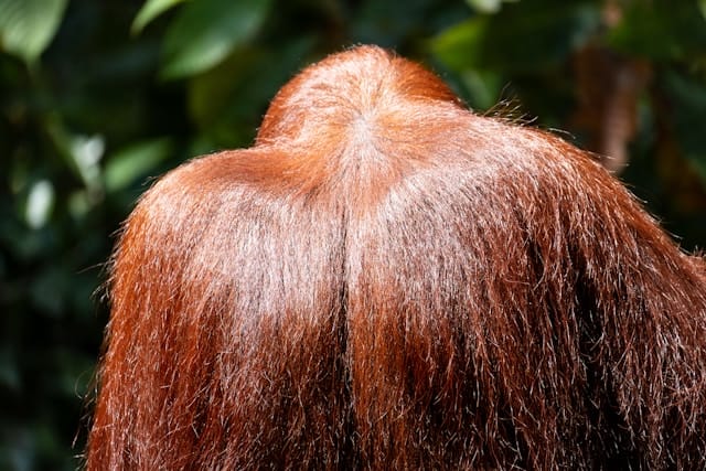 Hair Care Products for Every Hair Type 