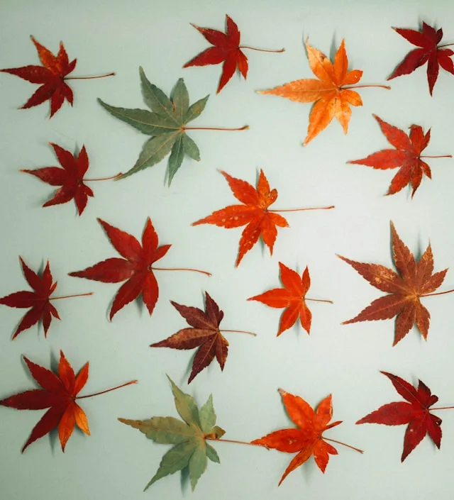 Various red and orange autumn leaf nail stickers and decals for seasonal nail art.